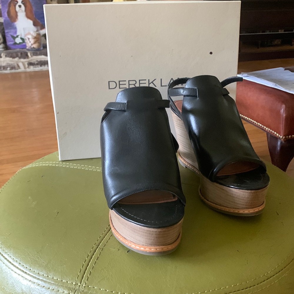 Never worn stunning Derek Lam wedges